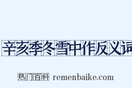 辛亥季冬雪中作反义词是什么意思的图片